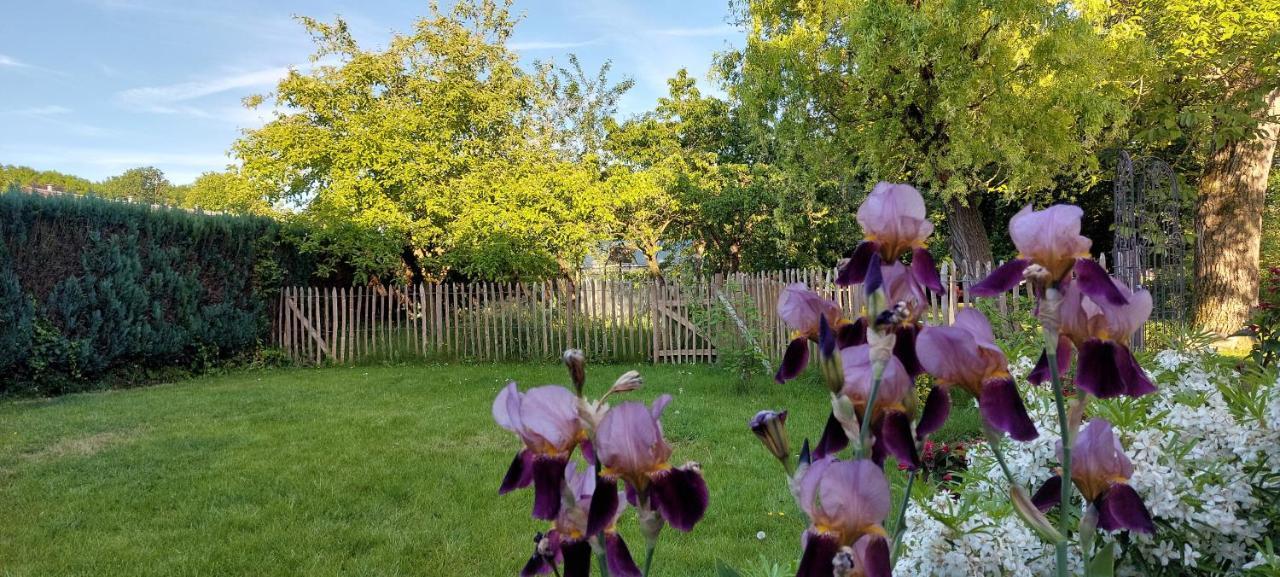 Au Coquelicot : Gite Cosy Pour 8 Pers. Avec Jardin アト エクステリア 写真